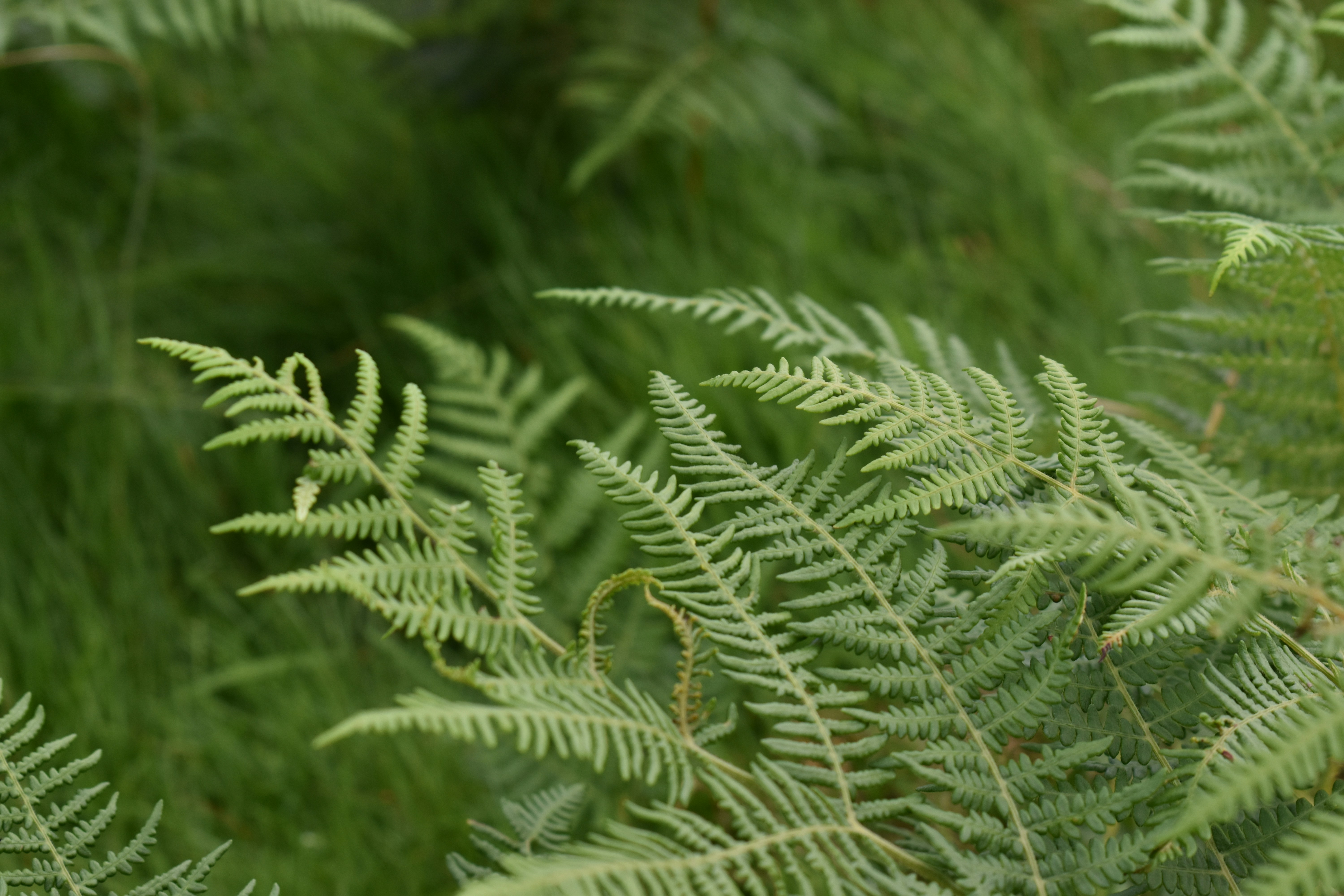 Photo by sisacreative