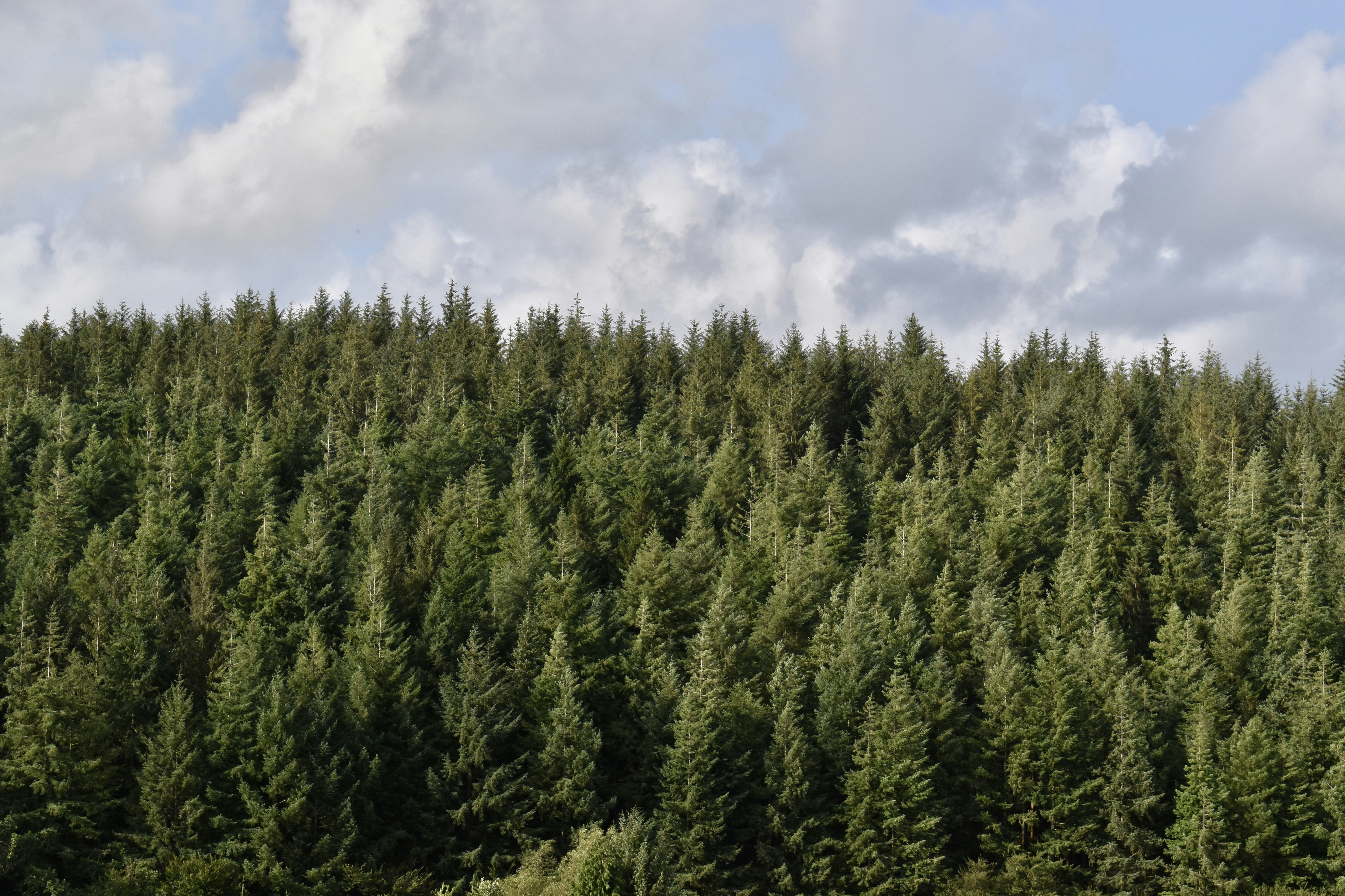 Photo by sisacreative