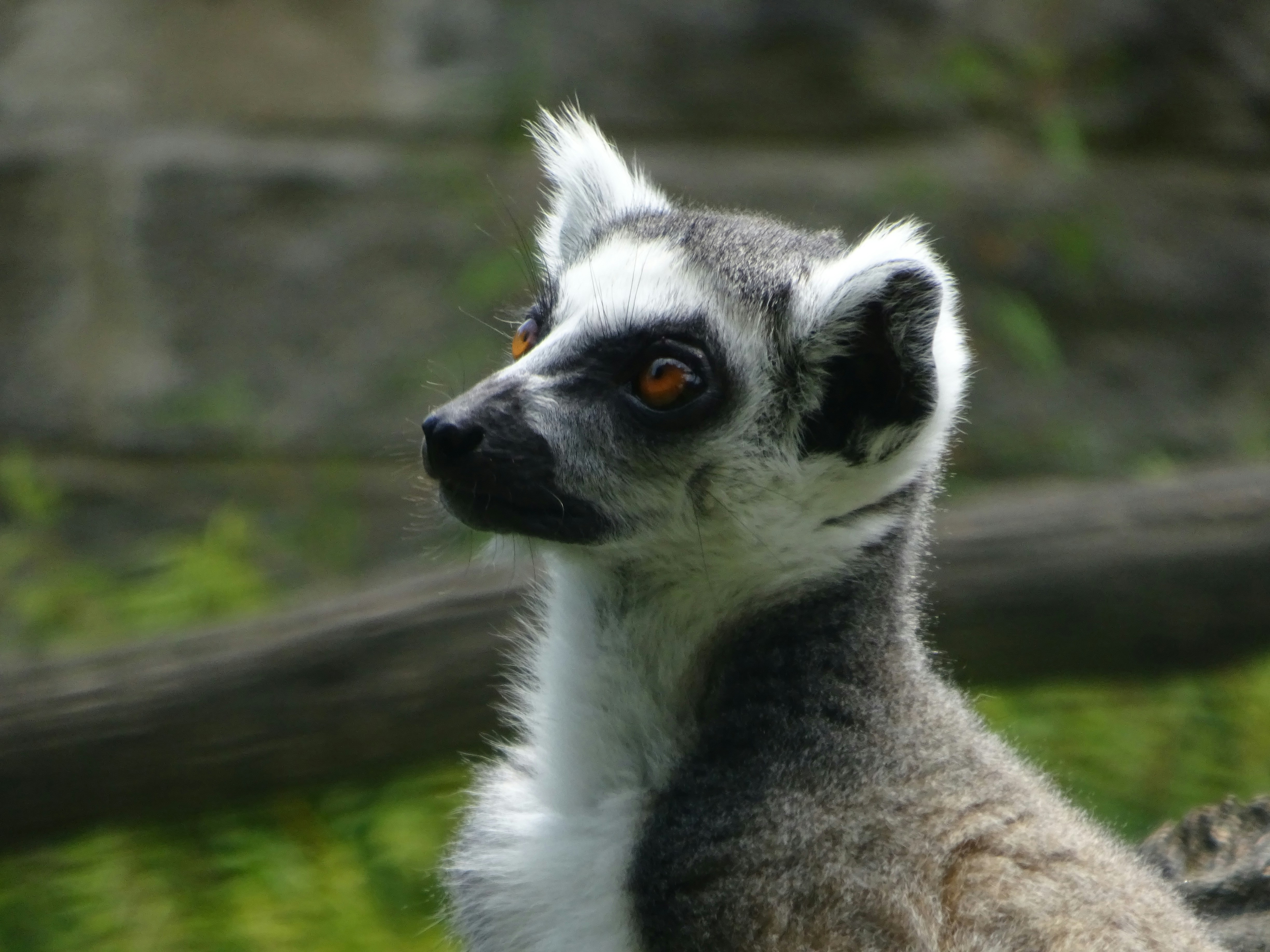 Photo by jeromedufek