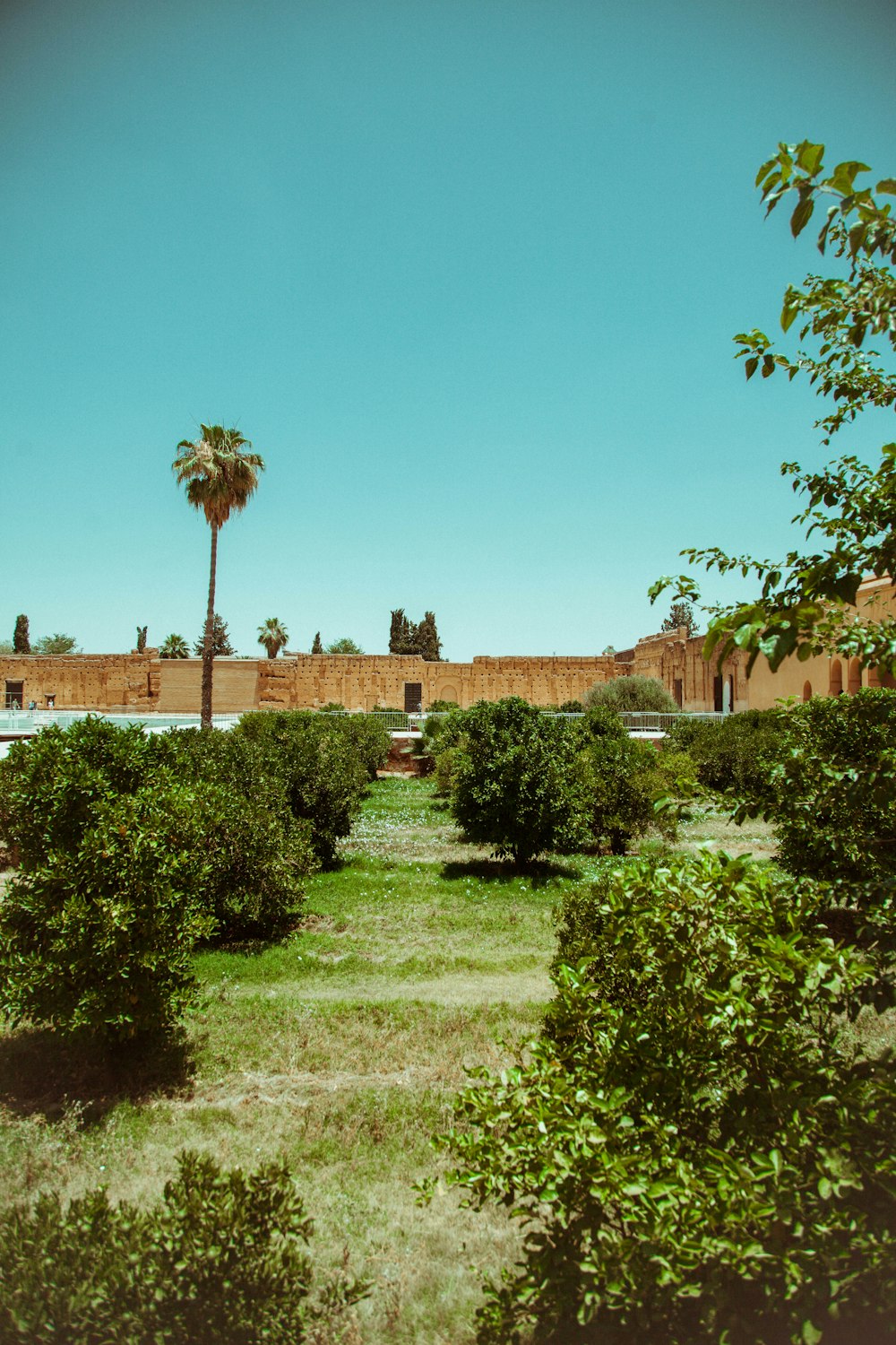 green grass field near brown concrete building during daytime