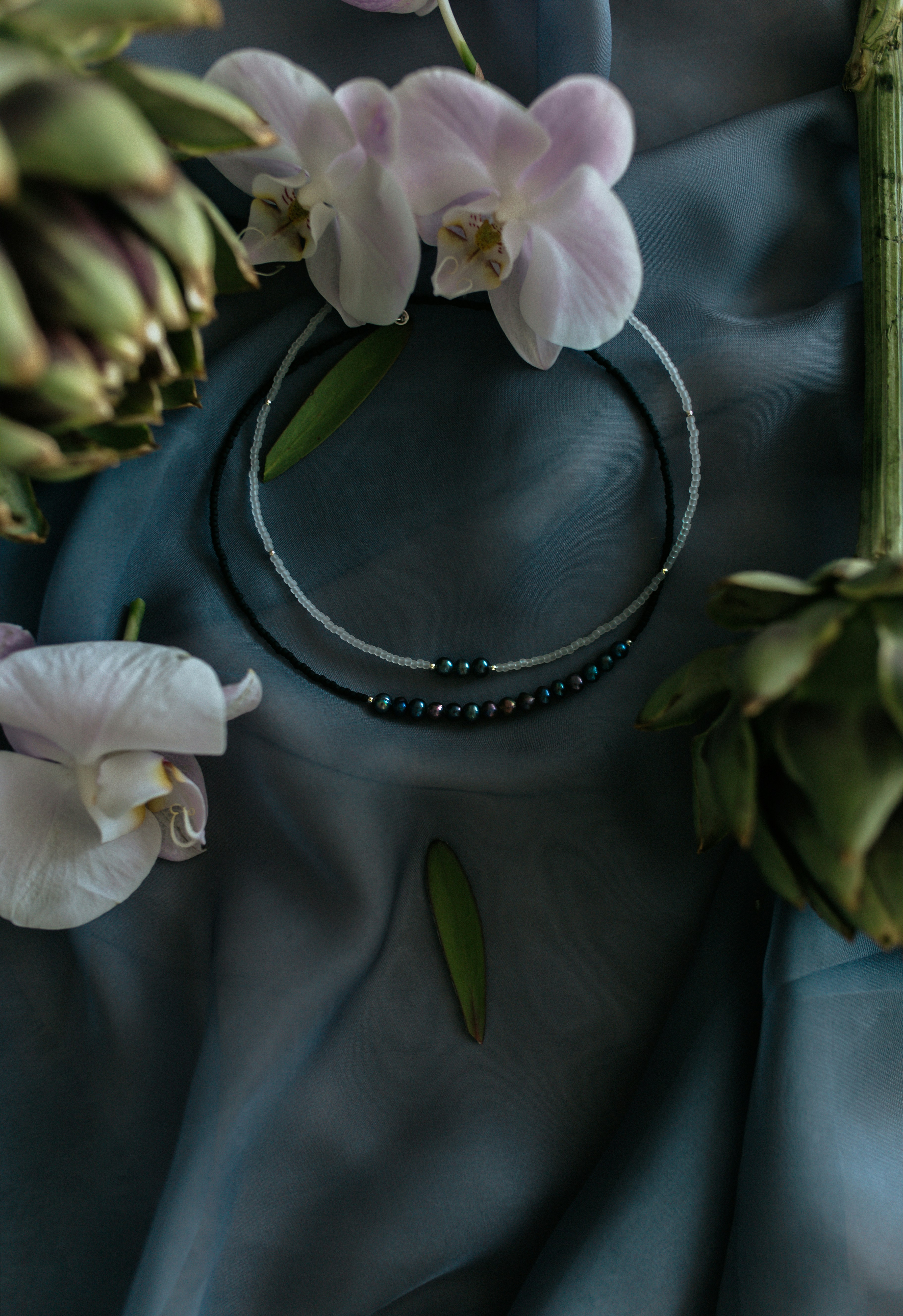 white and purple flower on green leaves