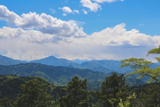 A vibrant panoramic view of the Navarre countryside with the Pyrenees mountains in the background under a bright blue sky.