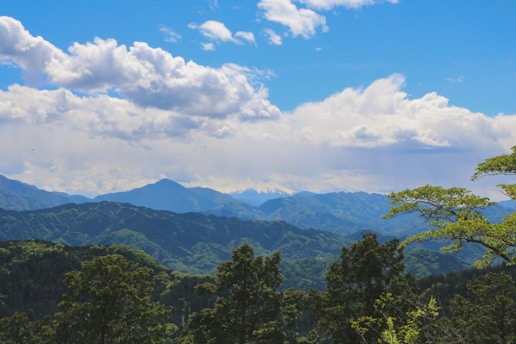 A vibrant panoramic view of the Navarre countryside with the Pyrenees mountains in the background under a bright blue sky.