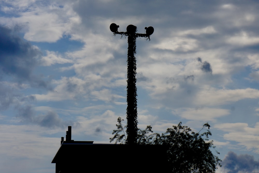 silhouette of tree under cloudy sky during daytime