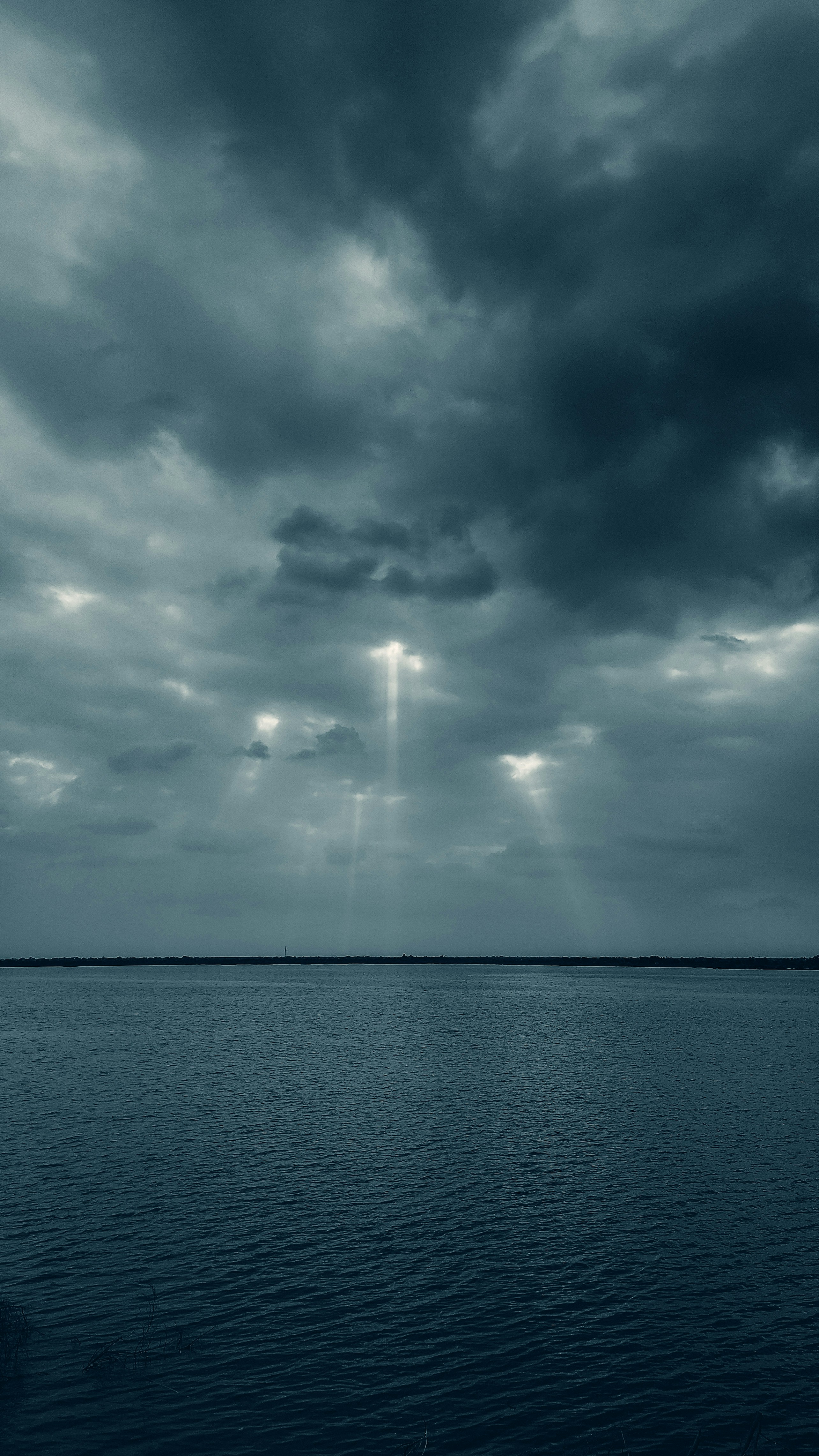 Photo by vaibhav_pixels