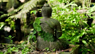 gray concrete buddha statue on brown dried leaves