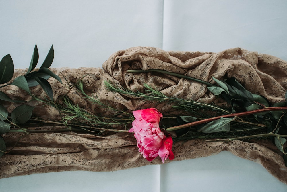 pink rose on brown textile