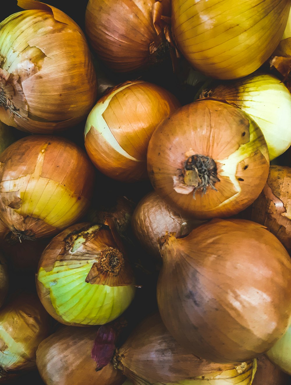 close up photo of garlic