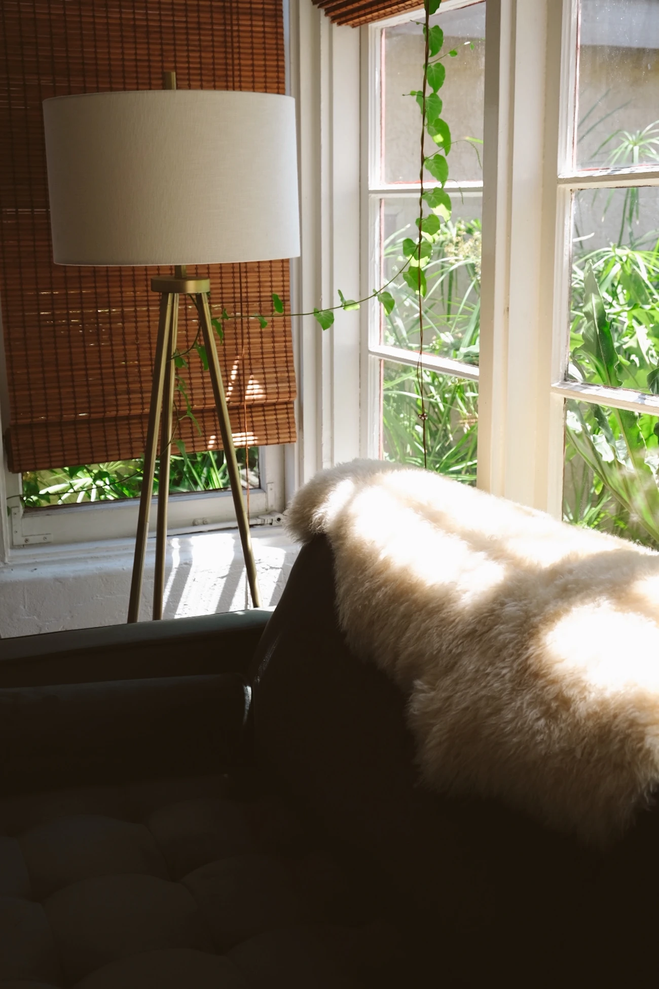 室内の窓辺にある家具と猫のいる部屋