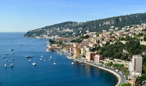 A picturesque coastal town with a variety of buildings, from historic structures to modern apartments, set against a backdrop of lush green hills. A serene bay filled with numerous small boats and yachts adds to the tranquil atmosphere, and a winding road hugs the coastline, lined with palm trees.