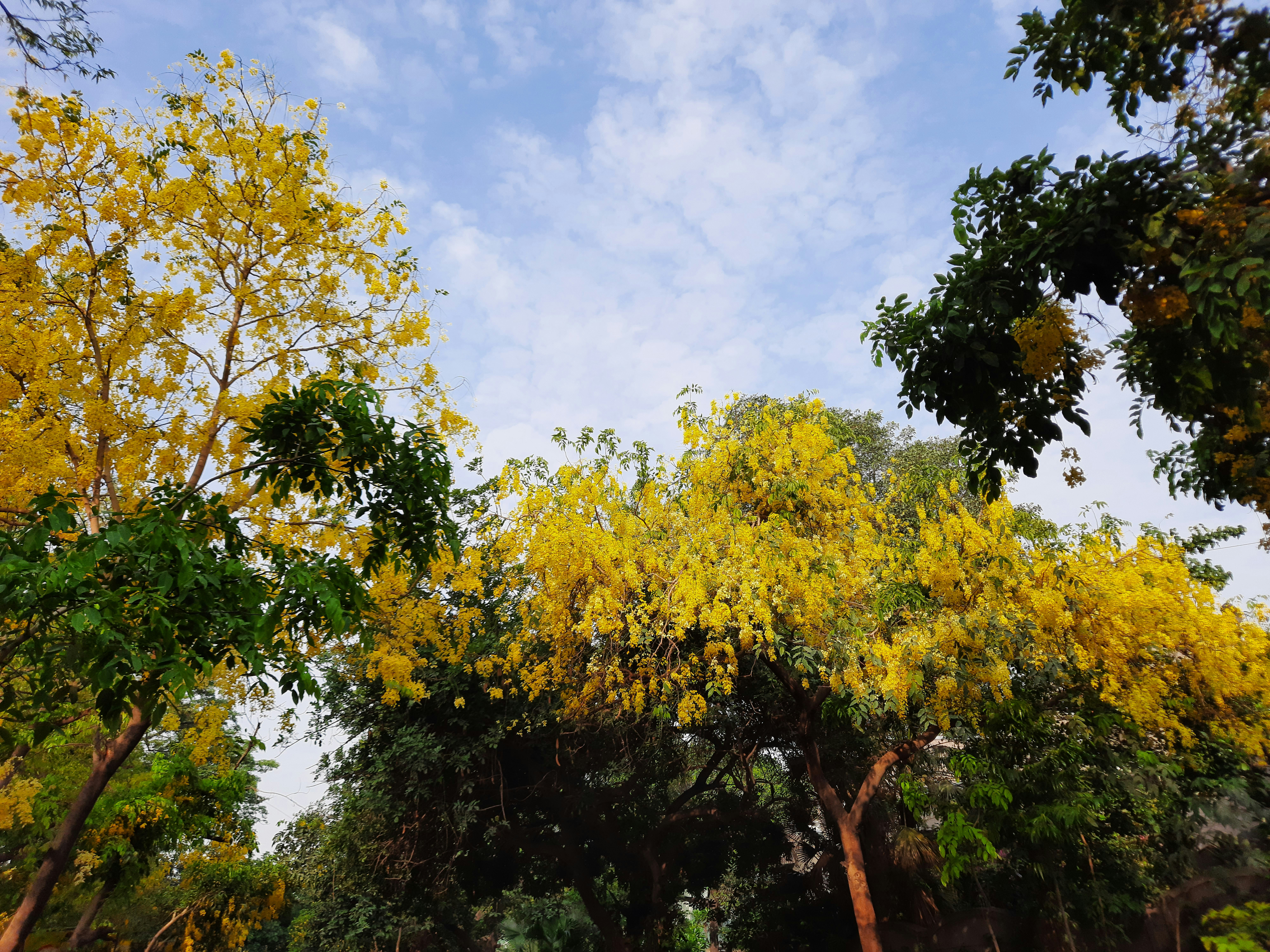 Photo by gaurijauhar