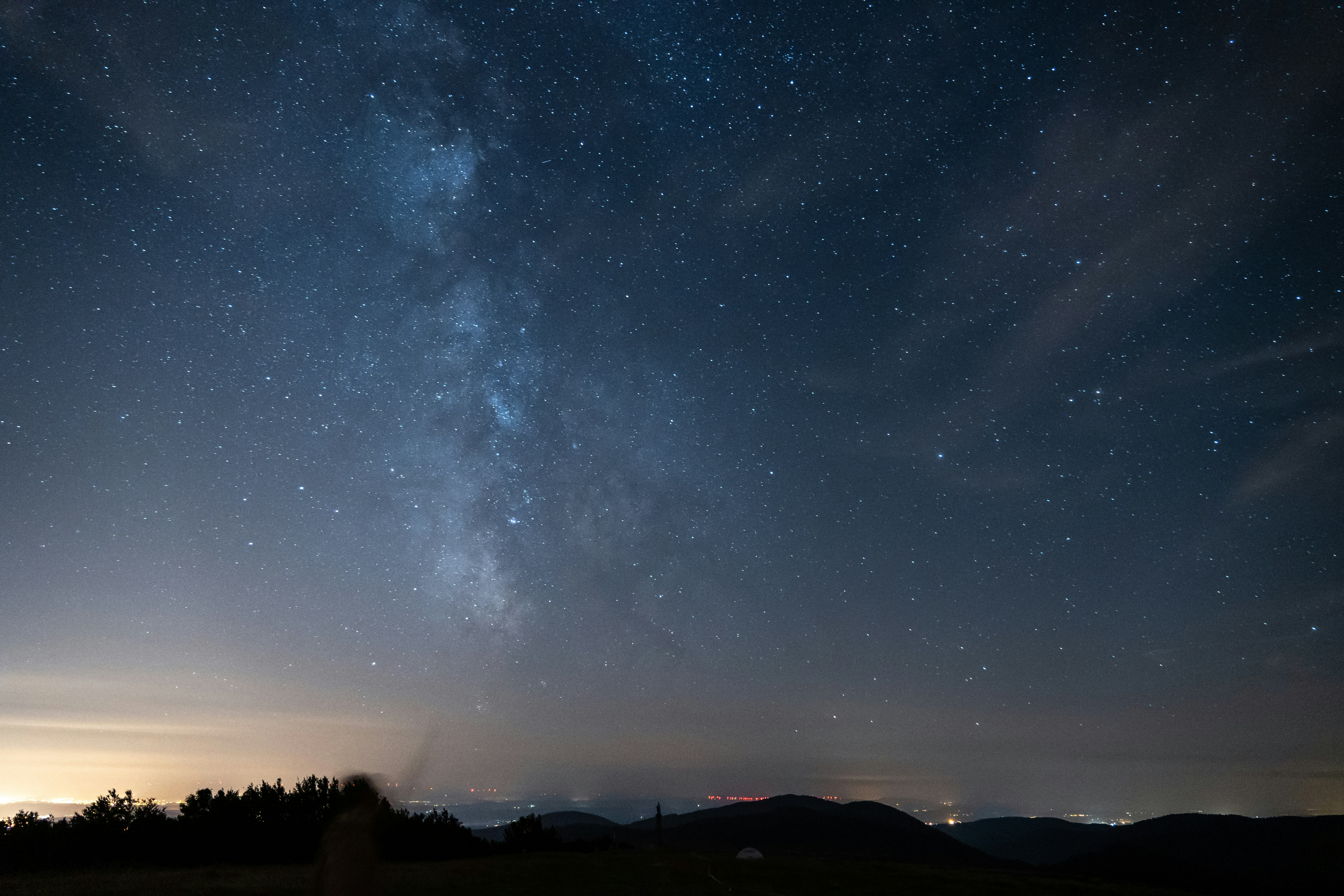 silhouette of trees under starry night