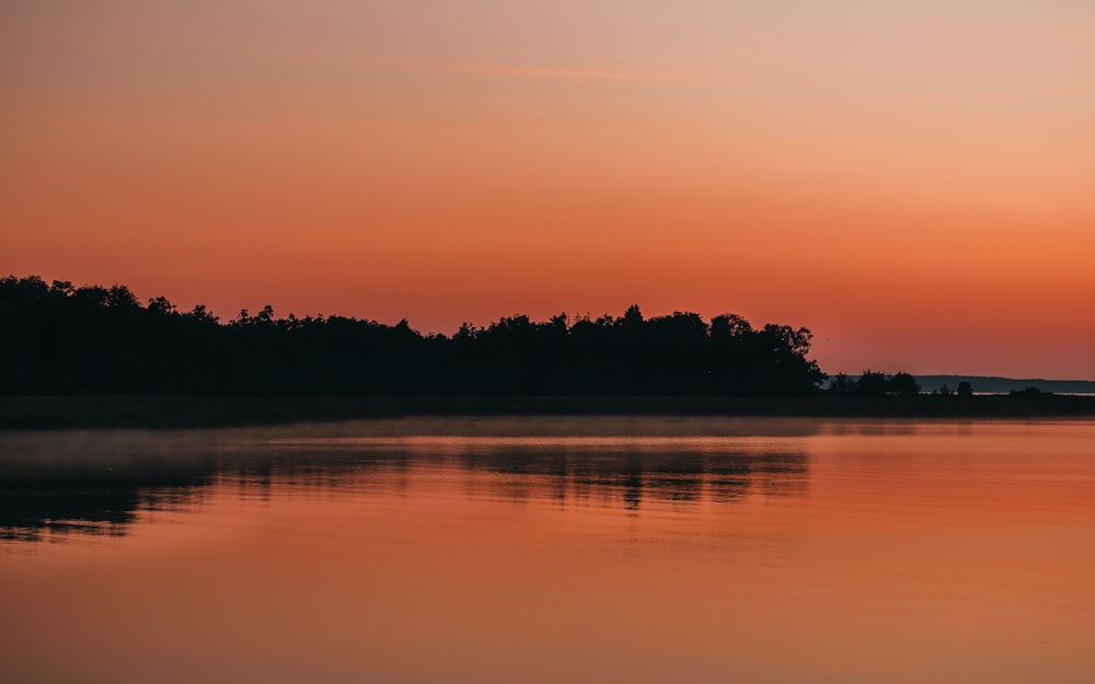 silhouette di alberi vicino allo specchio d'acqua durante il tramonto