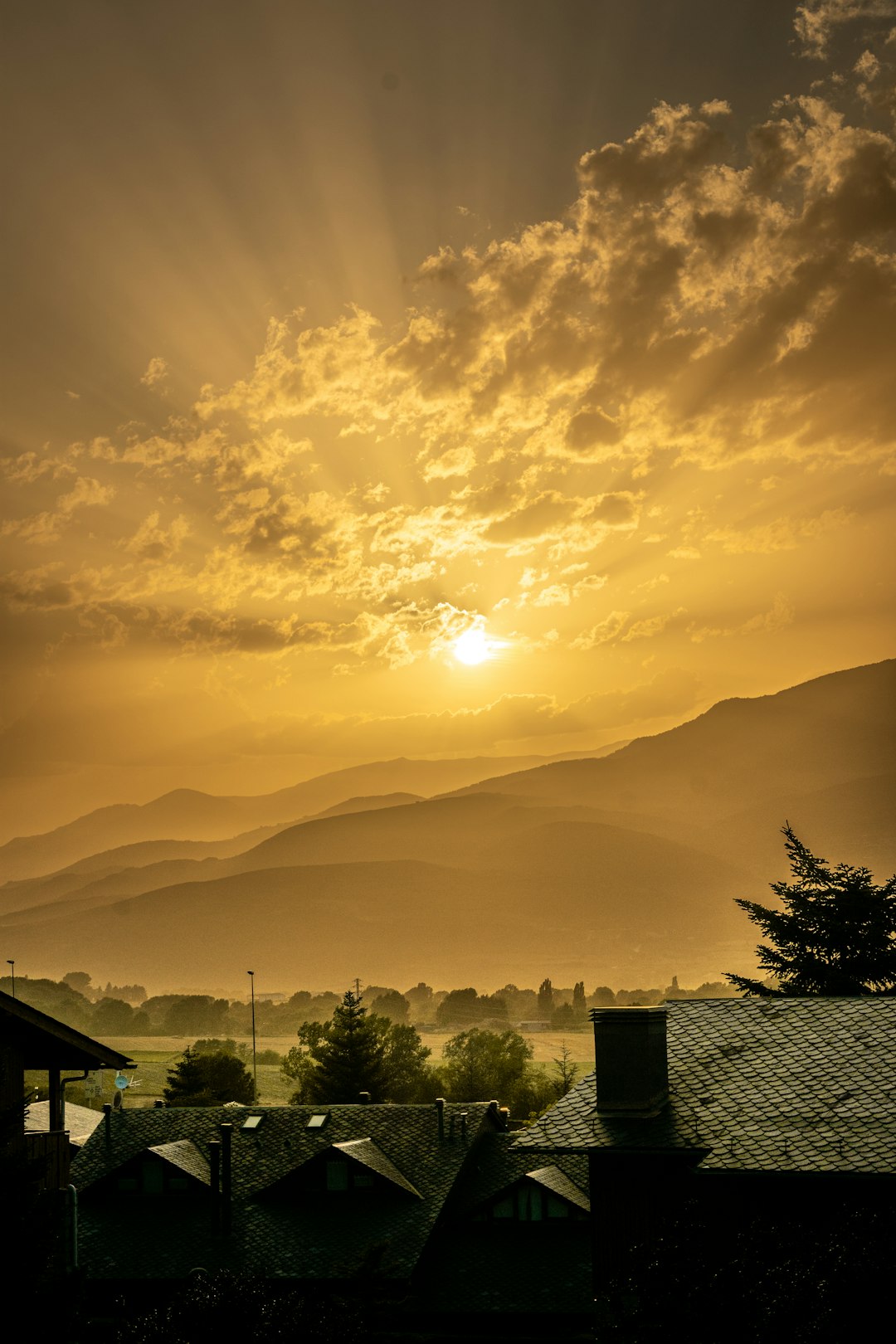 silhouette of trees and mountains during sunset