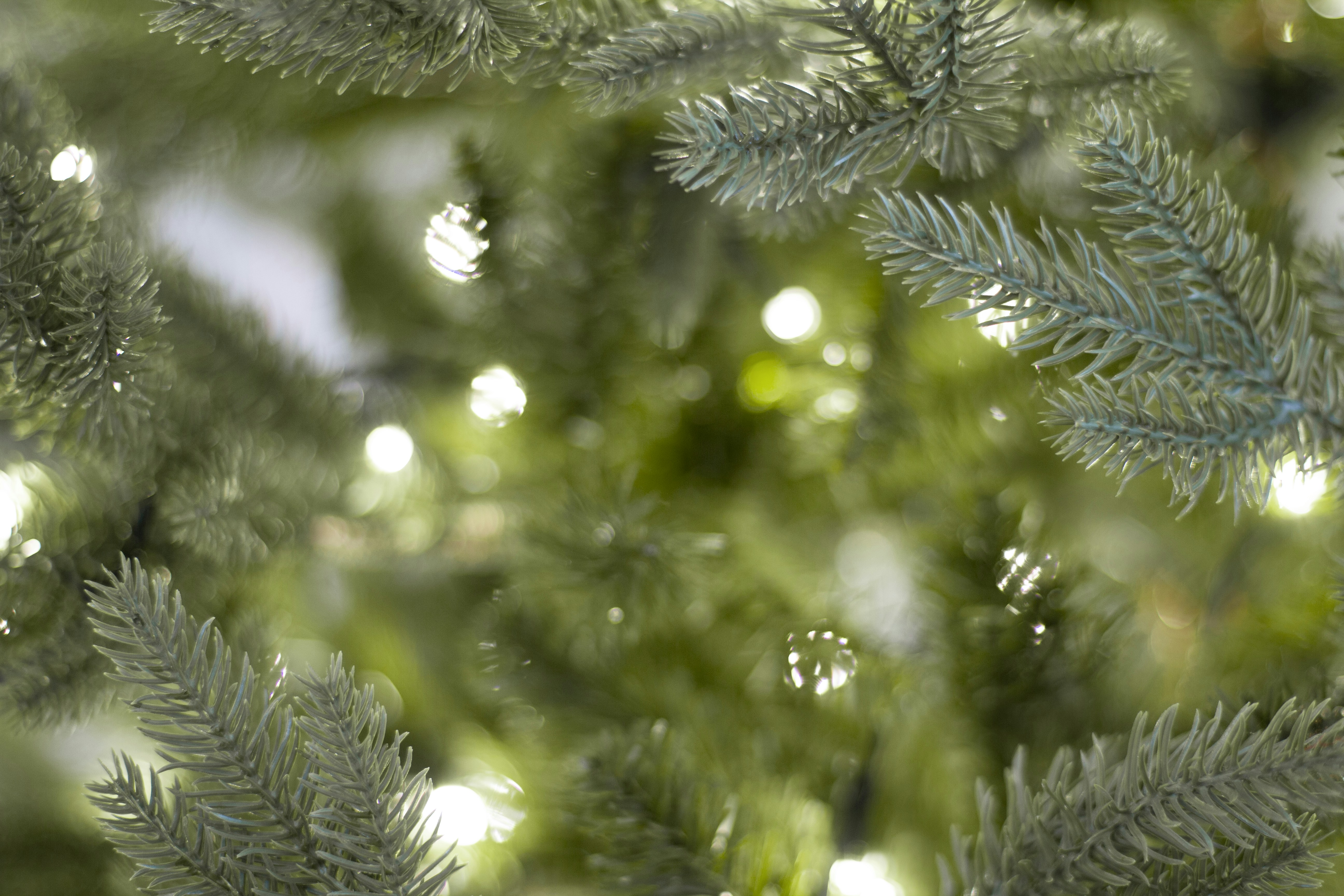 Photo by jessica_j_a