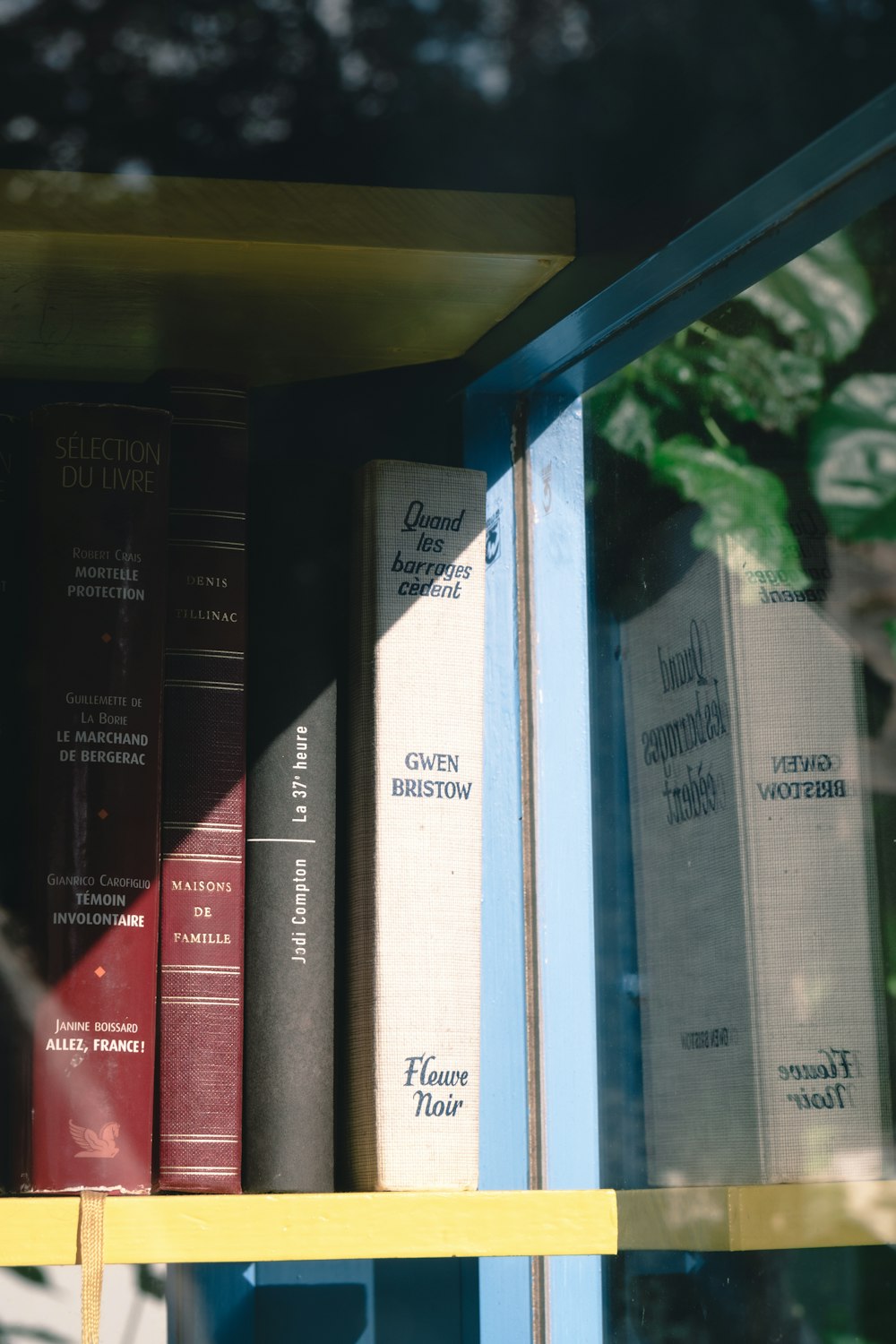 red and white book on brown wooden shelf