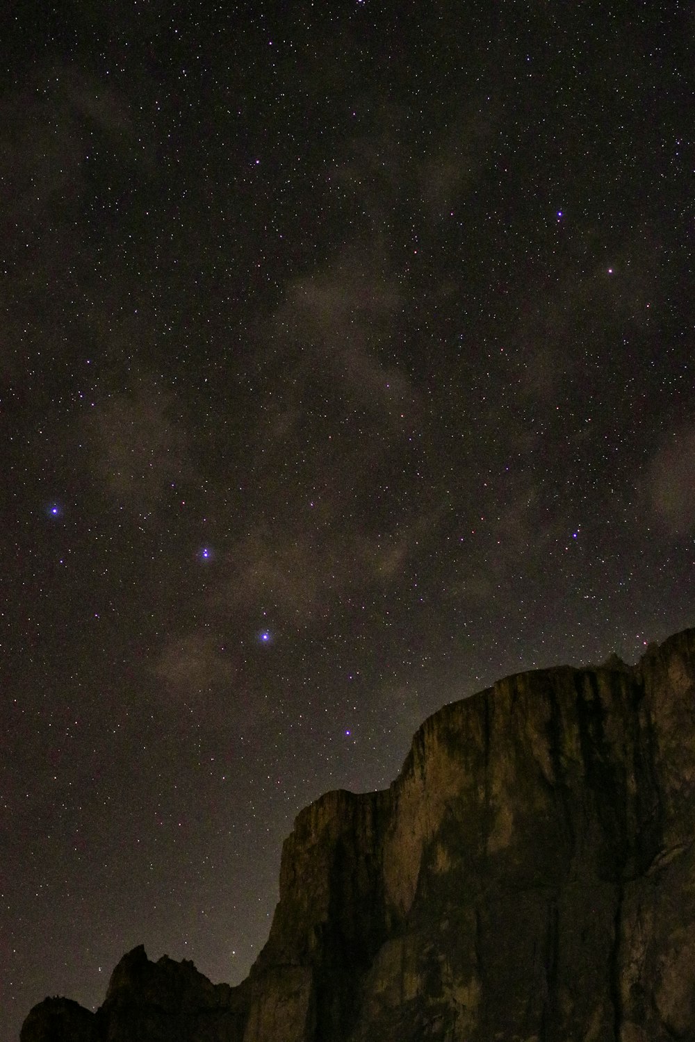 Brauner Rocky Mountain unter sternenklarer Nacht