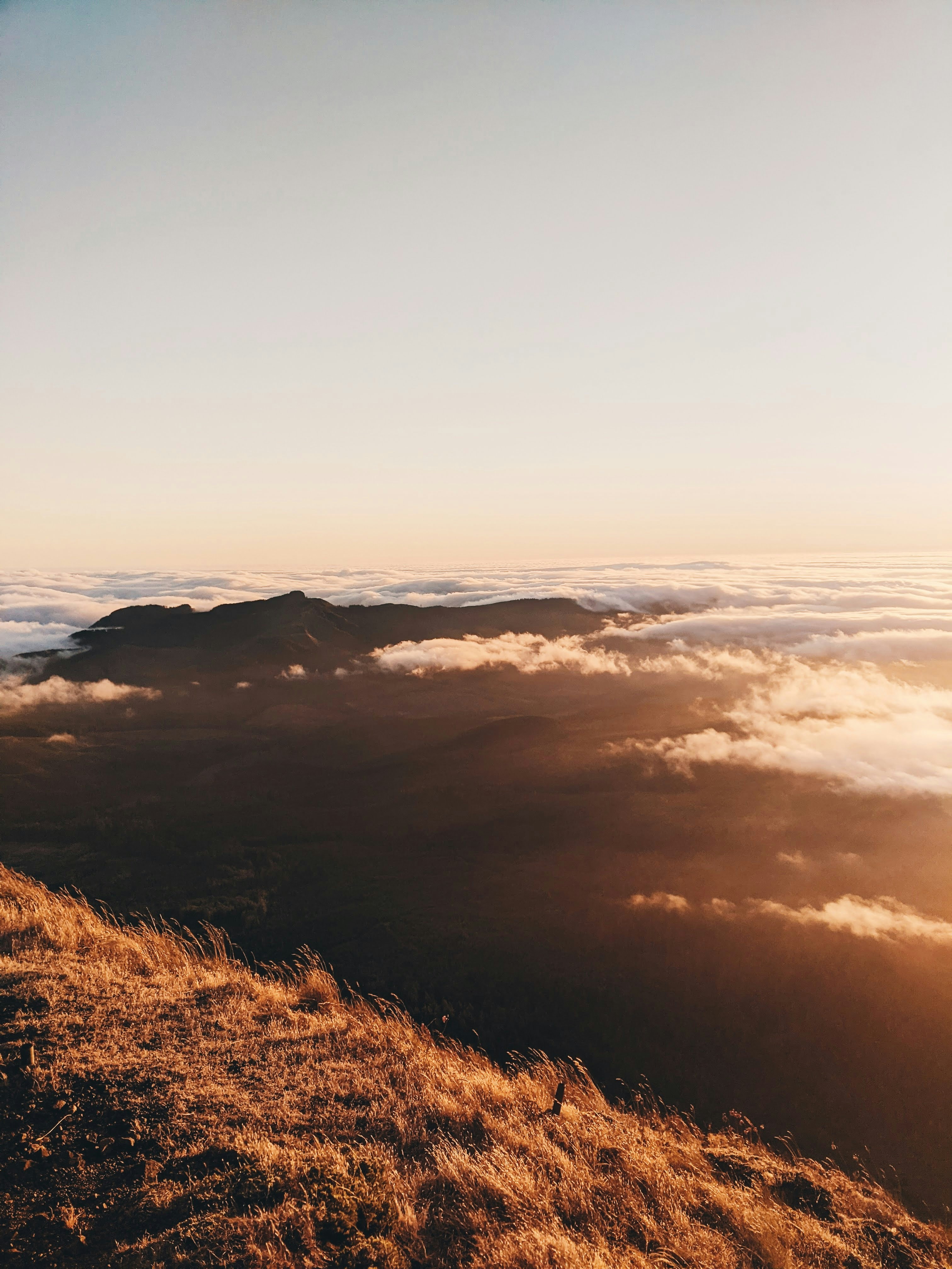 Photo by andrewwolff