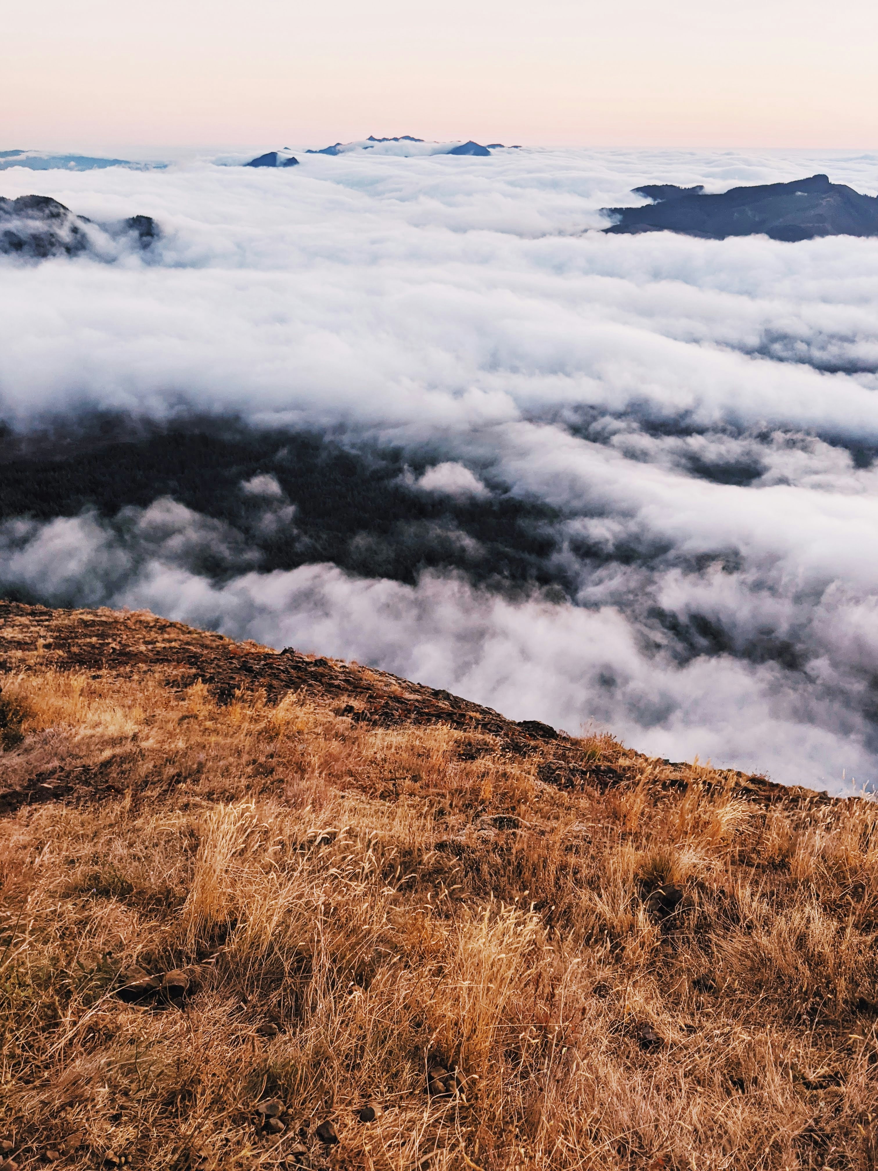 Photo by andrewwolff