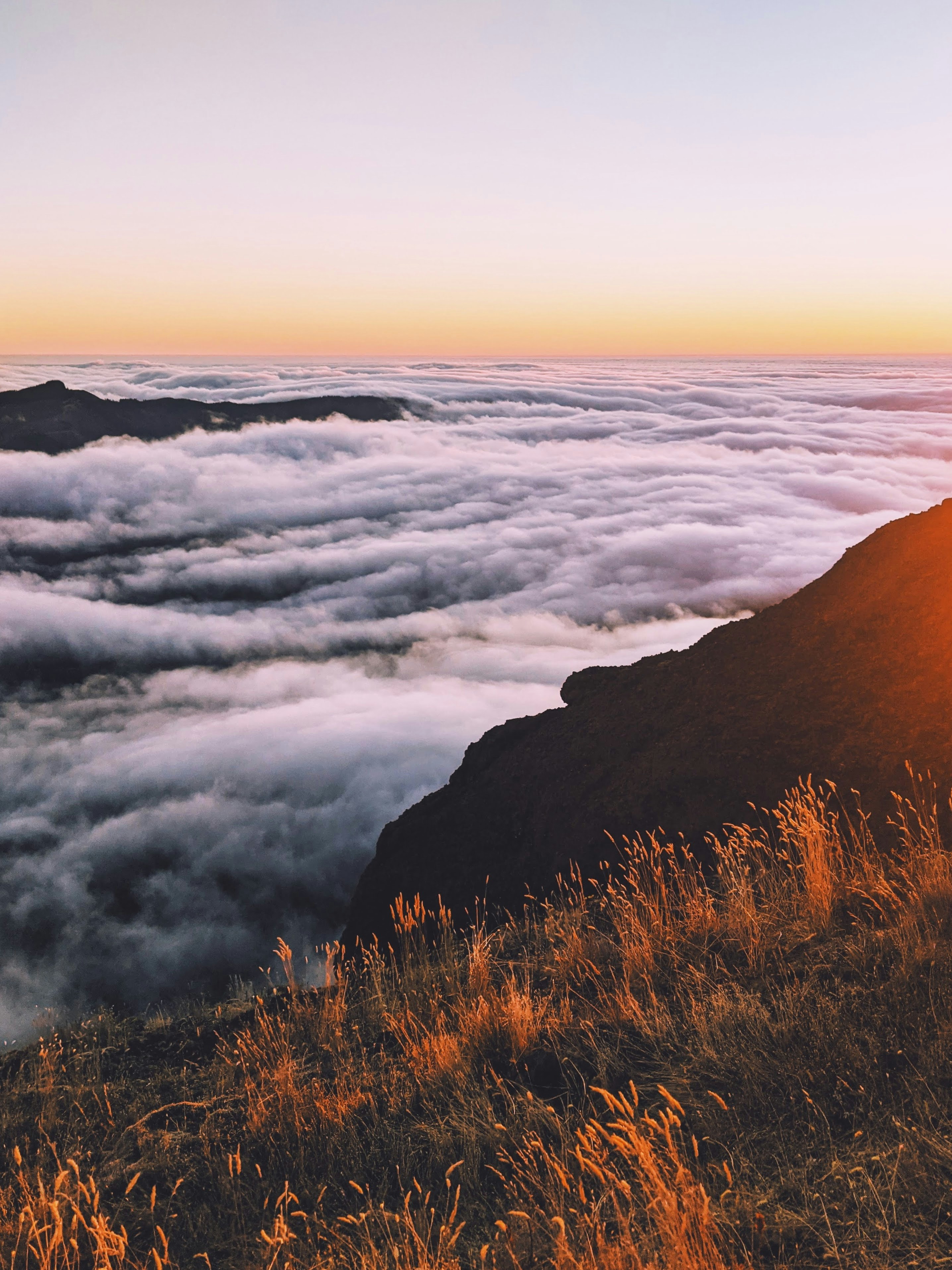 Photo by andrewwolff