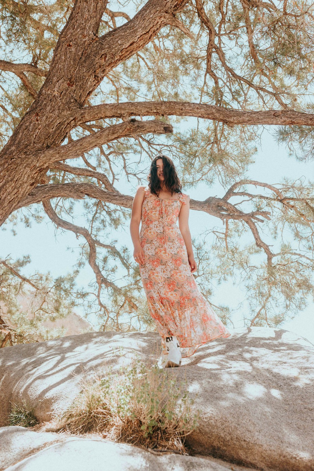 woman in white and pink floral dress standing under brown tree