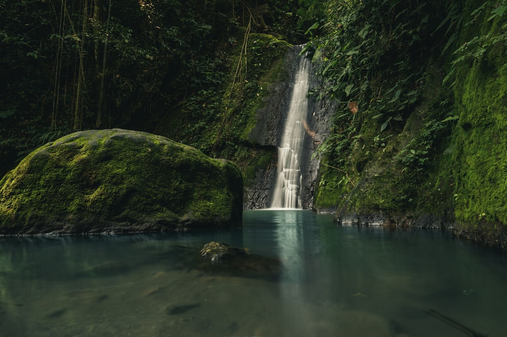 green moss on rock formation near waterfalls during daytime