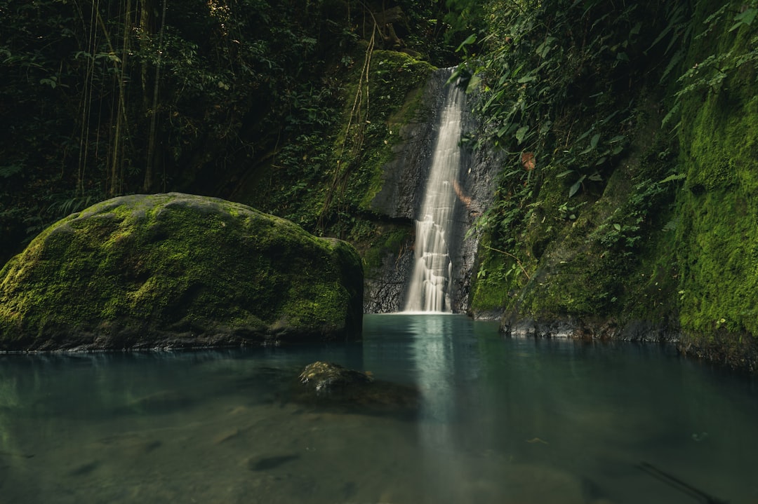 green moss on rock formation near waterfalls during daytime