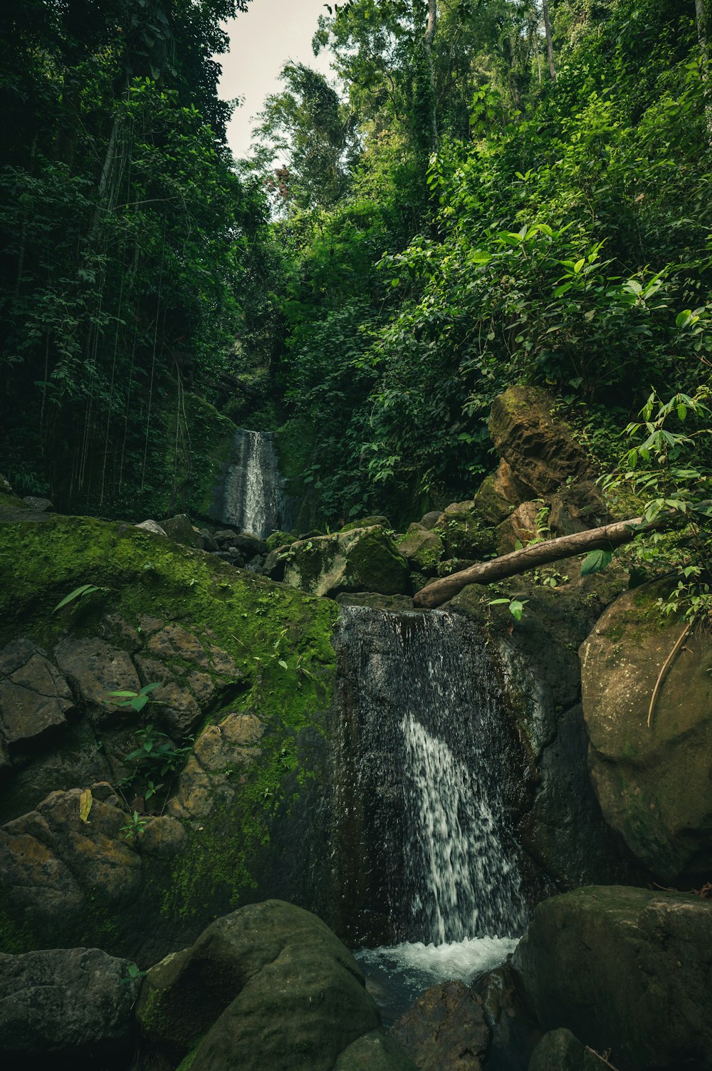 waterfalls in the middle of the forest