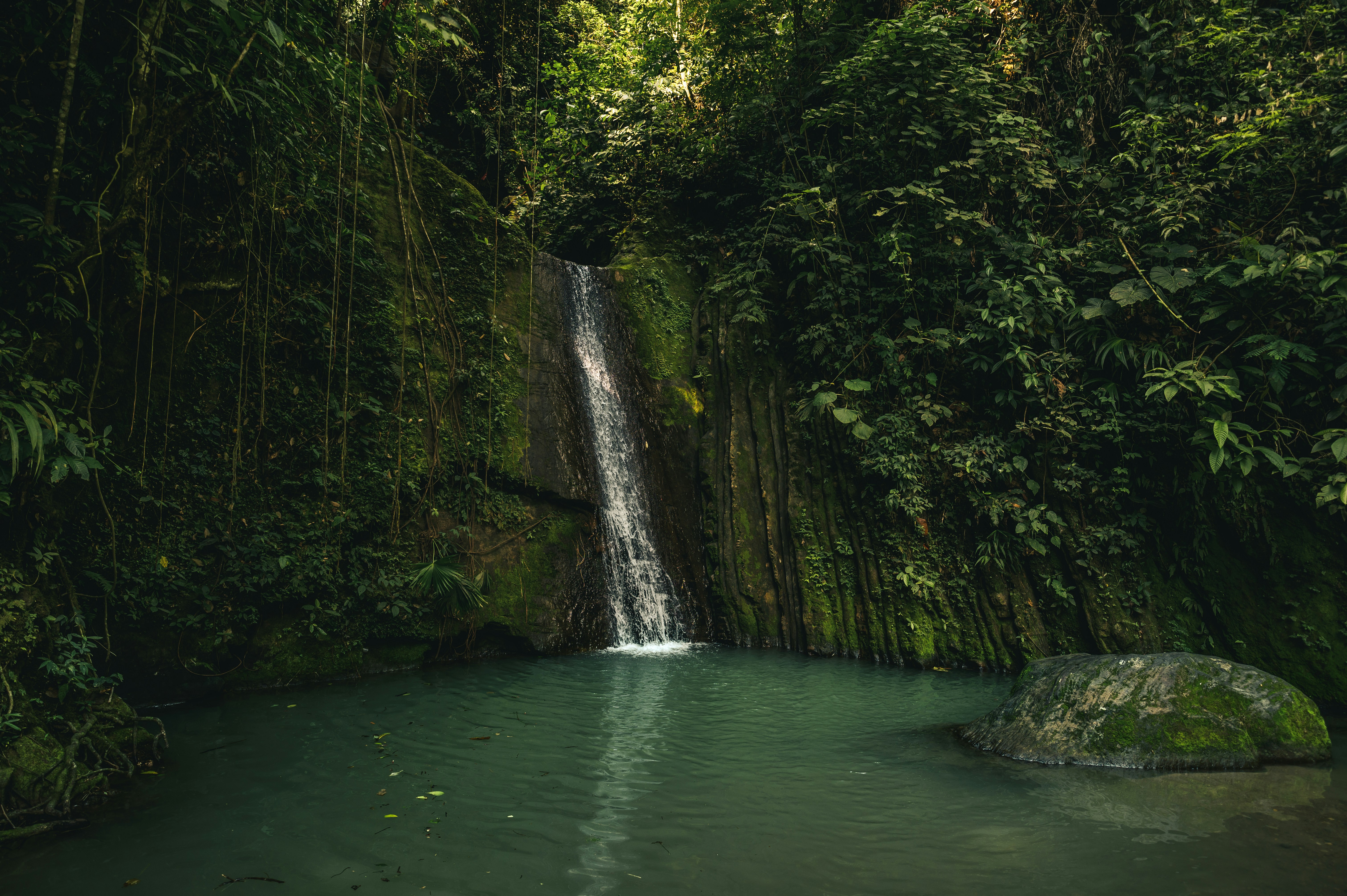 green water falls in the middle of green trees, Jungle waterfall</p><p>