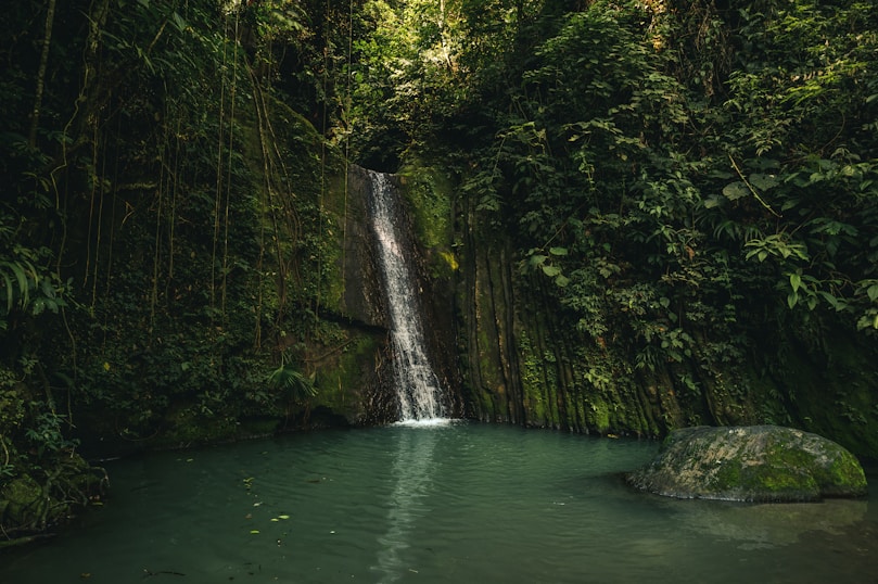 green water falls in the middle of green trees