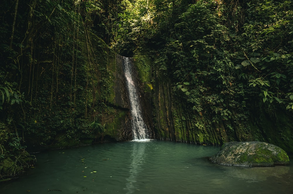 green water falls in the middle of green trees