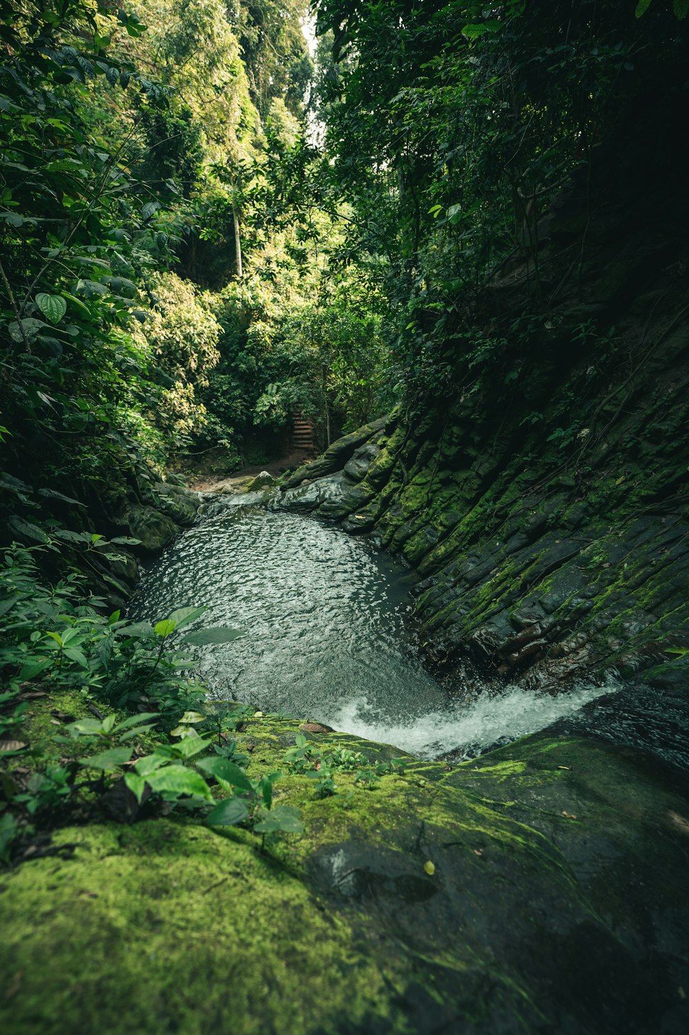 green moss on rock formation near river during daytime