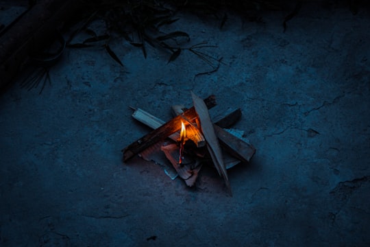 brown firewood on gray concrete floor in Gazakh Azerbaijan