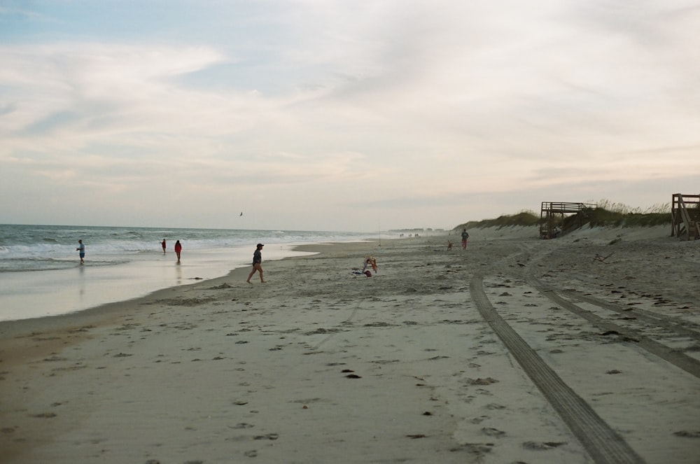 people on beach during daytime