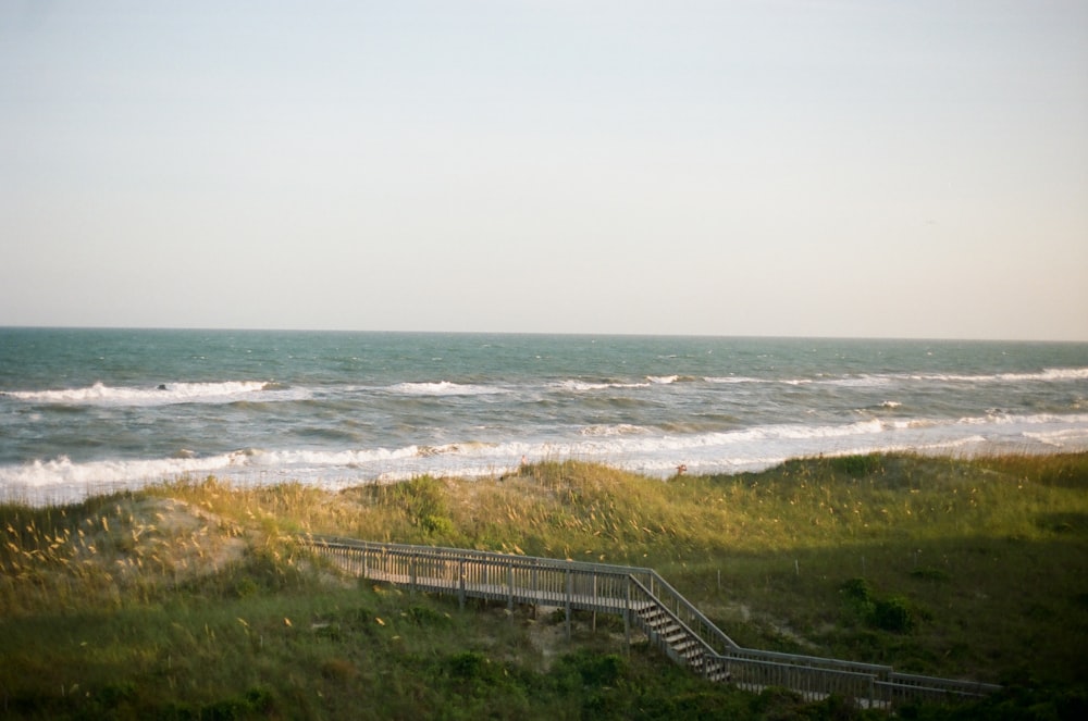 green grass field near sea during daytime