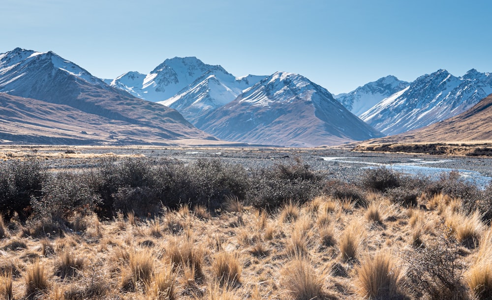 brown grass field near snow covered mountains during daytime