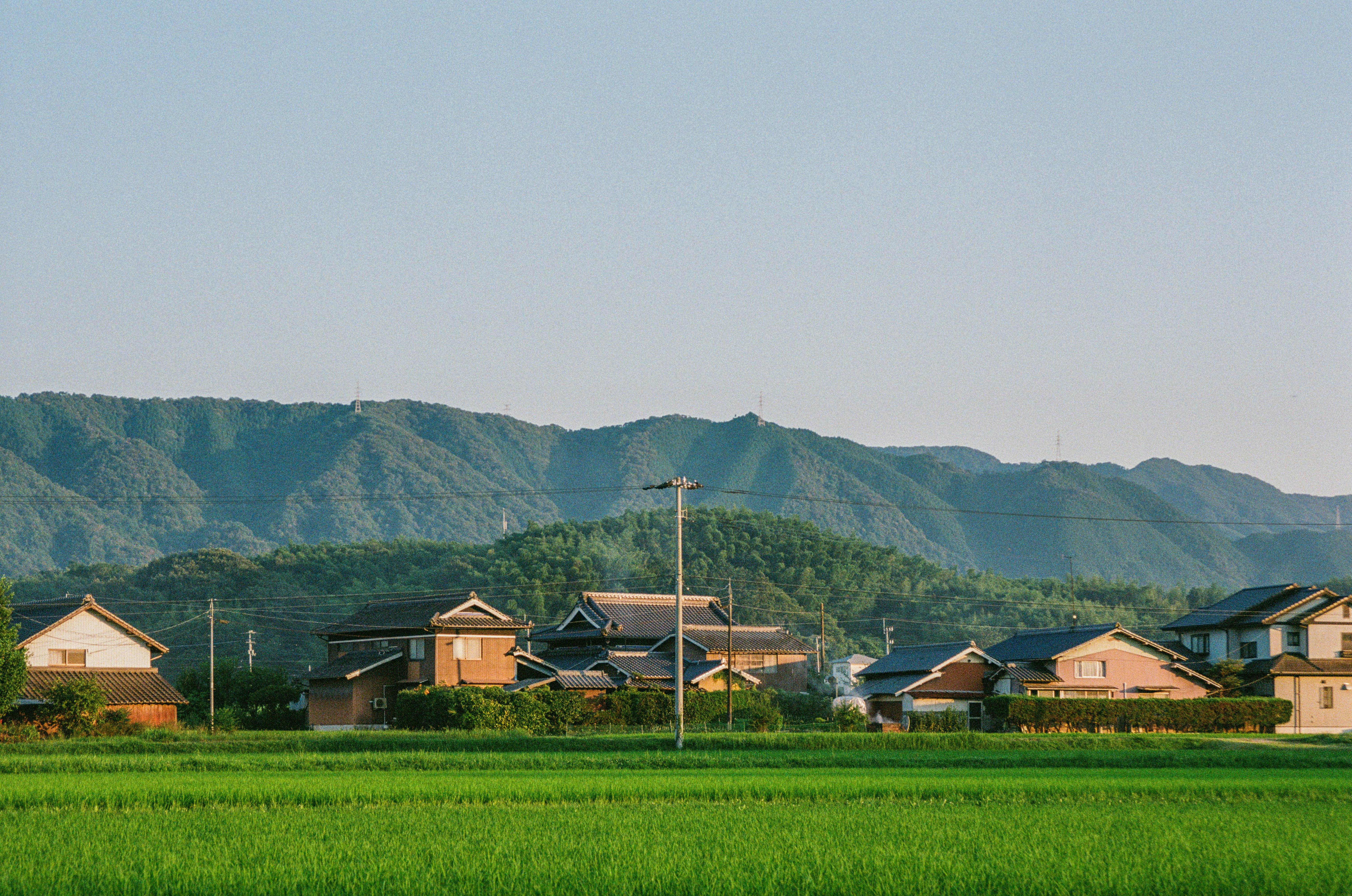 brown and white houses on green grass field during daytime