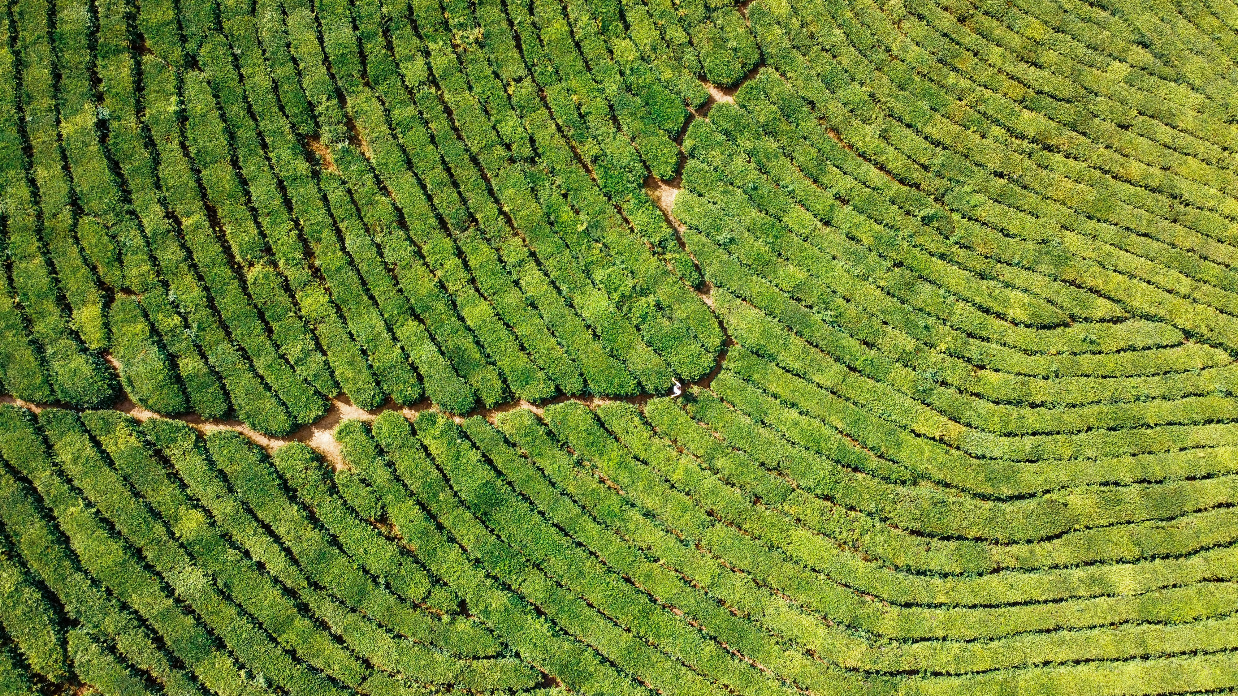 Photo by maximpronko