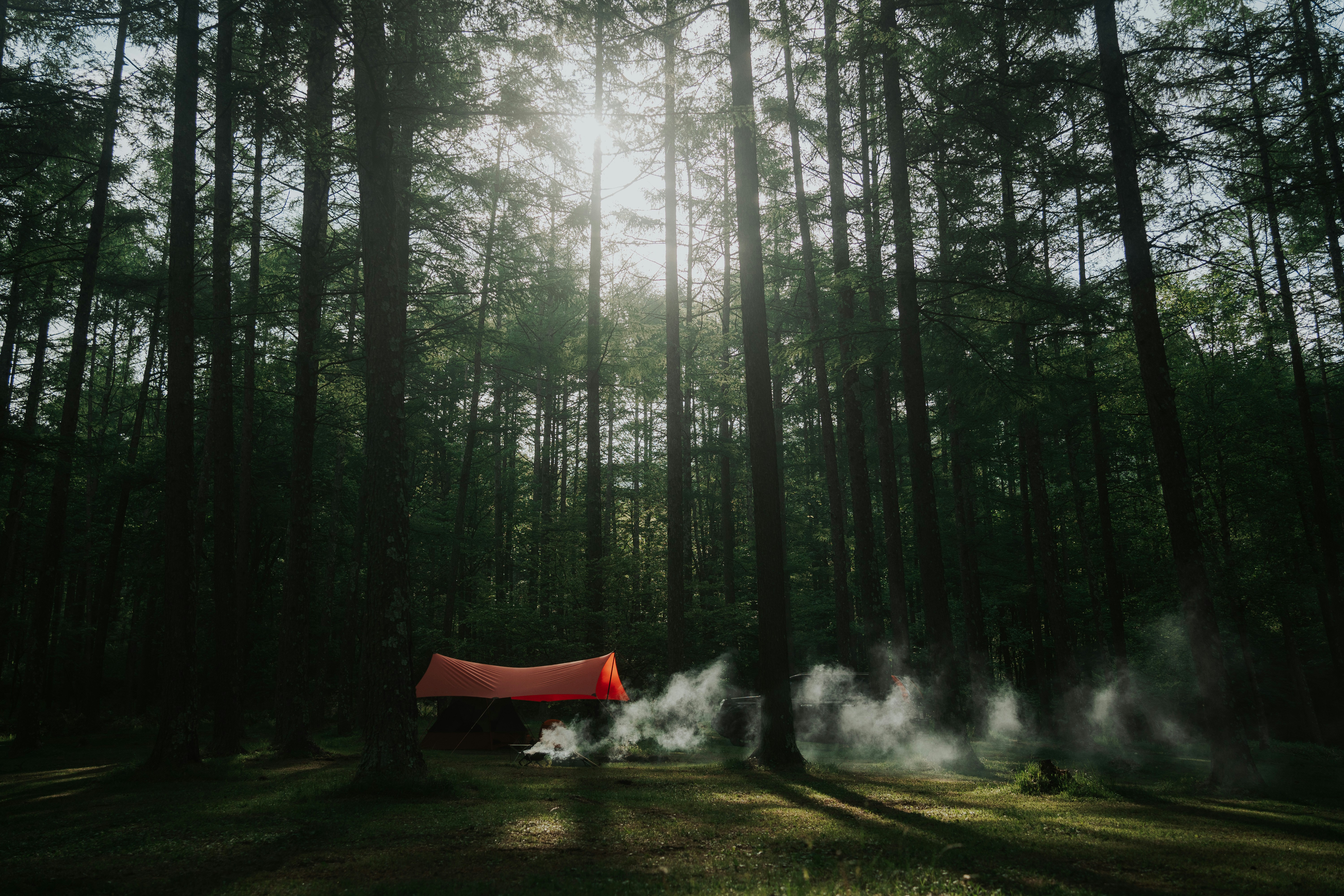 red tent in the middle of forest
