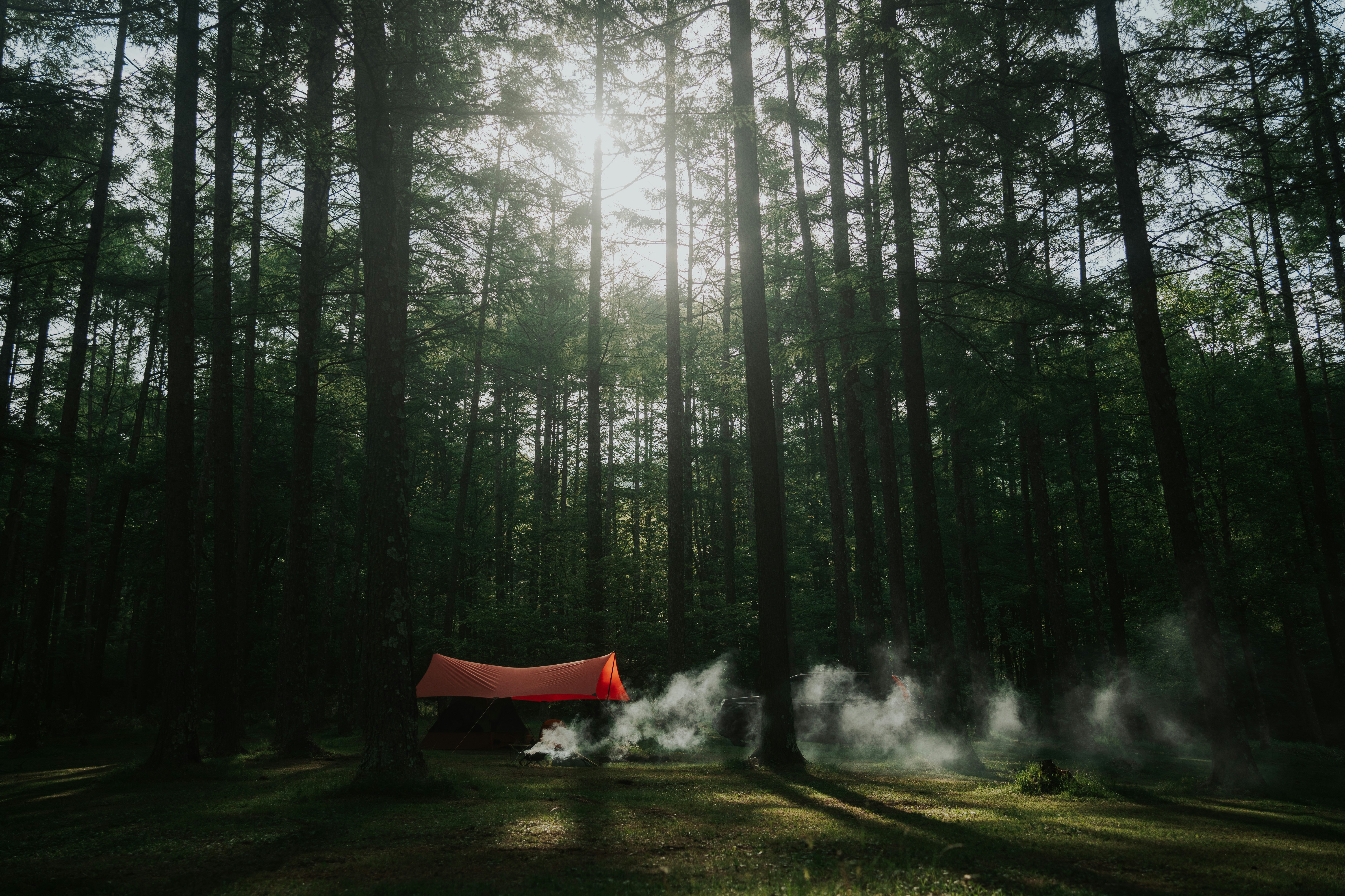 red tent in the middle of forest