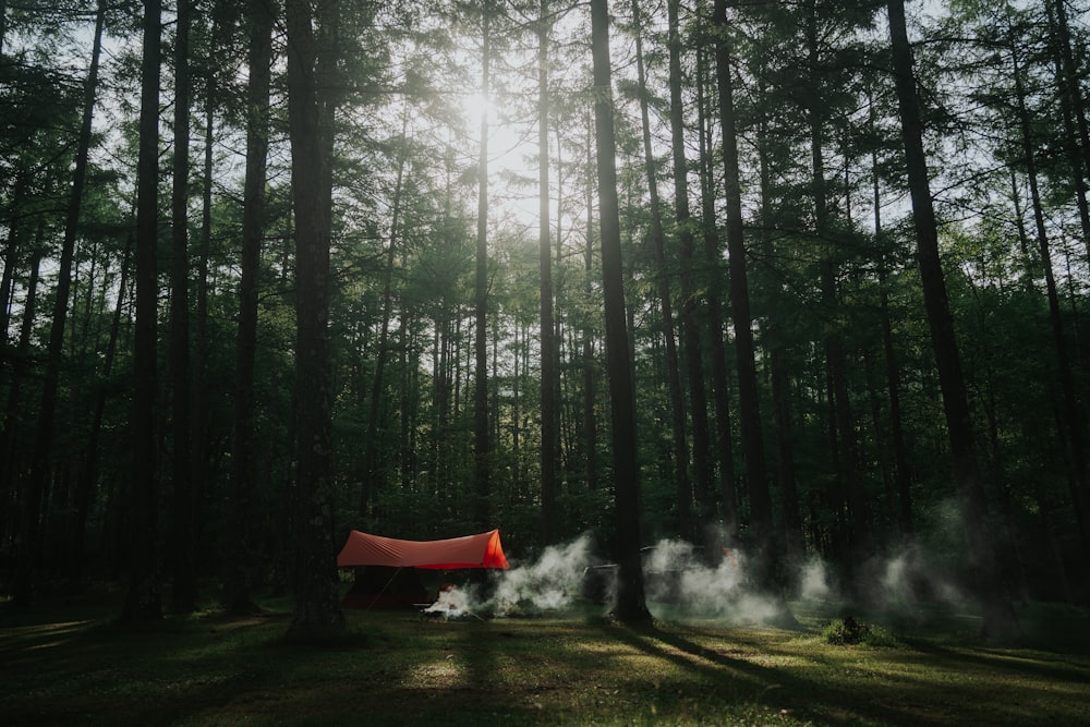 red tent in the middle of forest