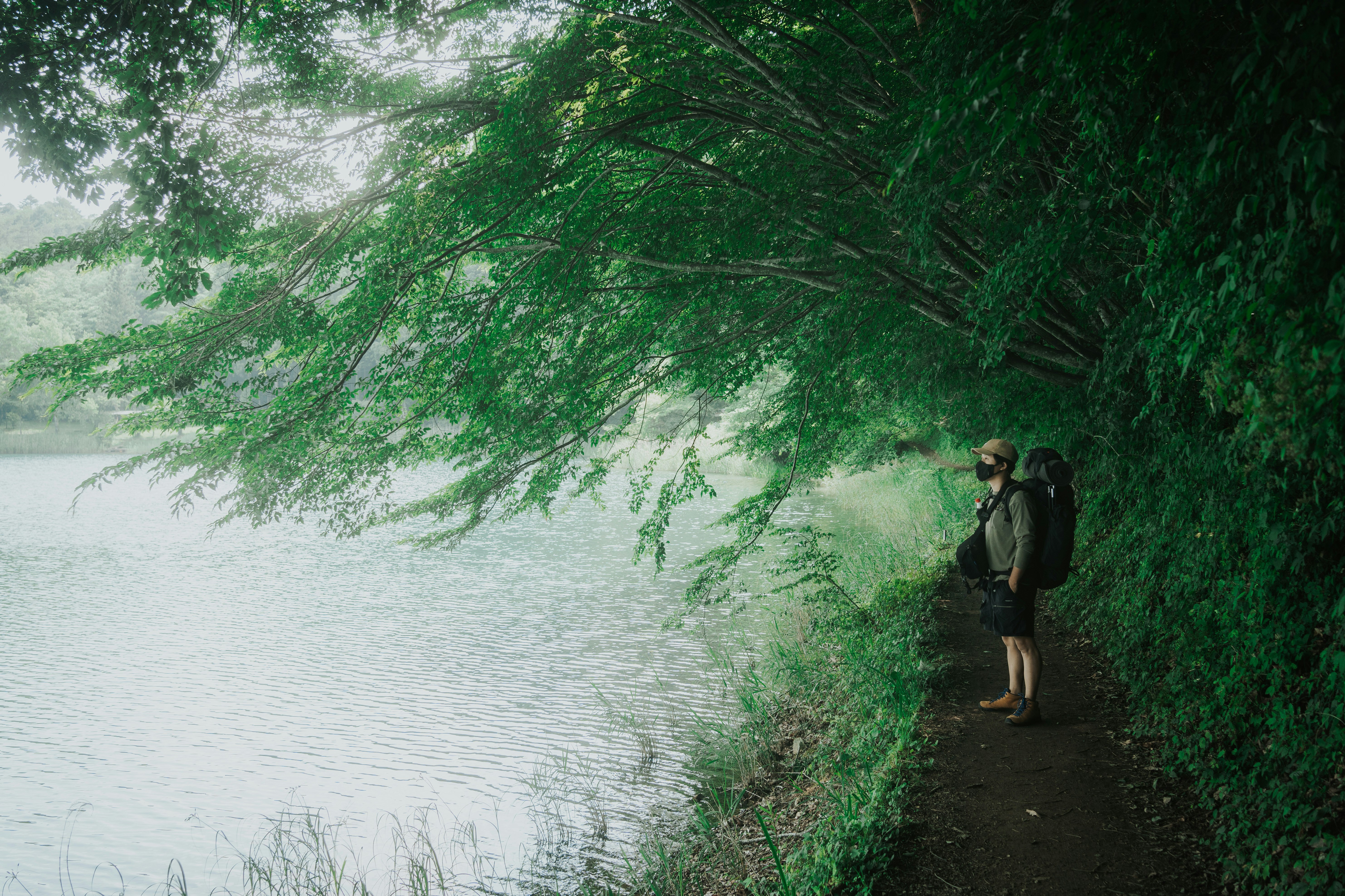 woman in black dress standing on green grass near body of water during daytime