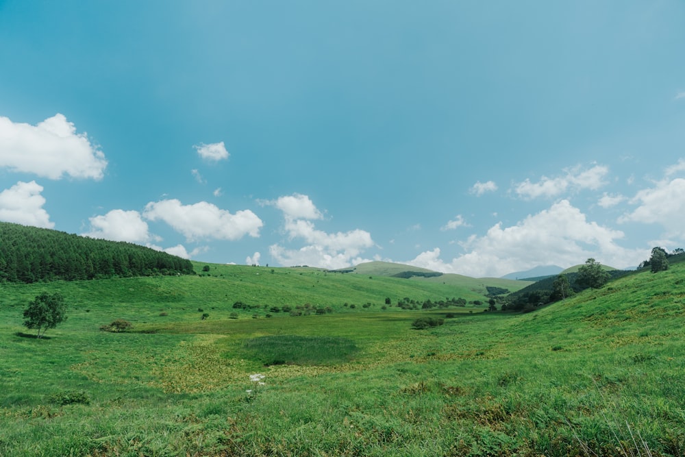 green grass field under blue sky during daytime