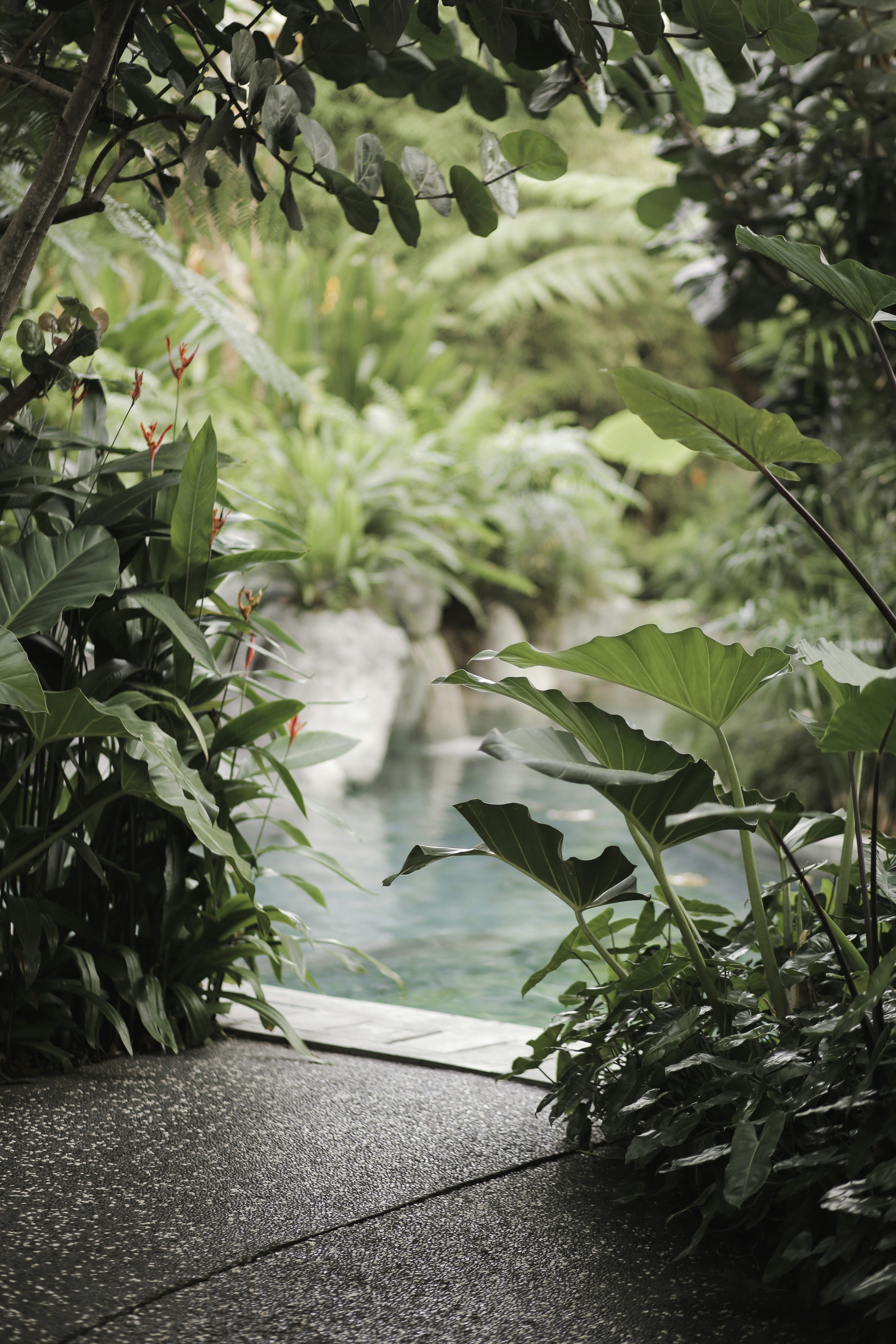 Photo by darisekitarmu_