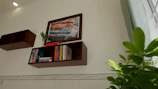 A corner wooden shelf elegantly holding a small plant and books in a bright living room.