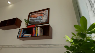 A set of modern corner wall shelves displaying small plants and books against a bright wall.