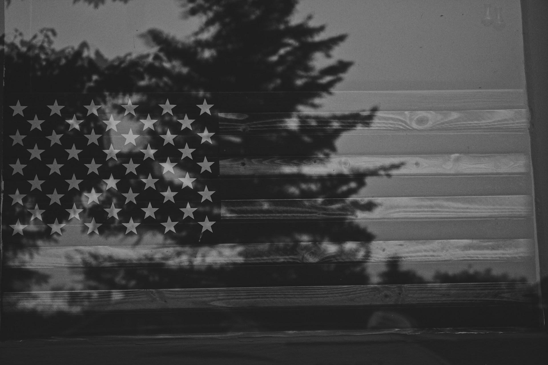grayscale photo of tree during daytime