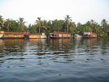 A tranquil backwater scene in Kerala with traditional houseboats gliding through palm-lined waterways.