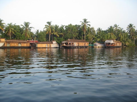 A serene water scene with several traditional houseboats lined up along the shoreline, surrounded by lush green palm trees. The calm water reflects the boats and greenery, creating a peaceful and idyllic atmosphere.