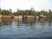 A serene water scene with several traditional houseboats lined up along the shoreline, surrounded by lush green palm trees. The calm water reflects the boats and greenery, creating a peaceful and idyllic atmosphere.